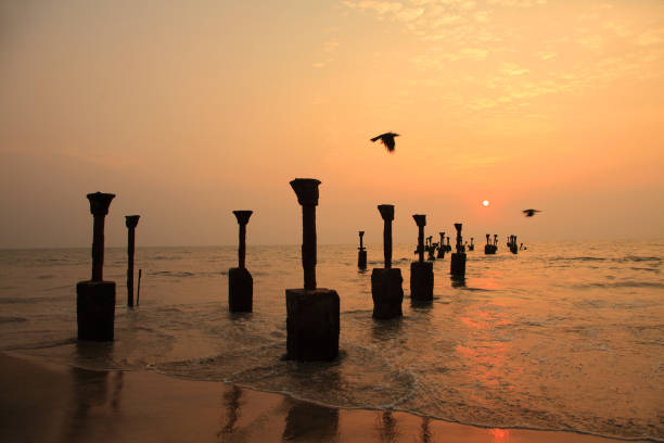 Calicut