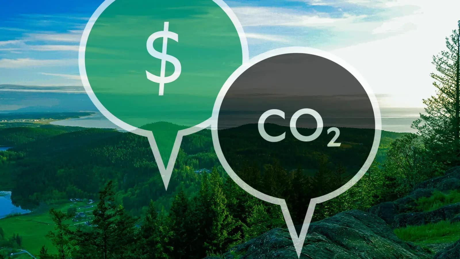 Carbon Pricing and Sustainability in Germany